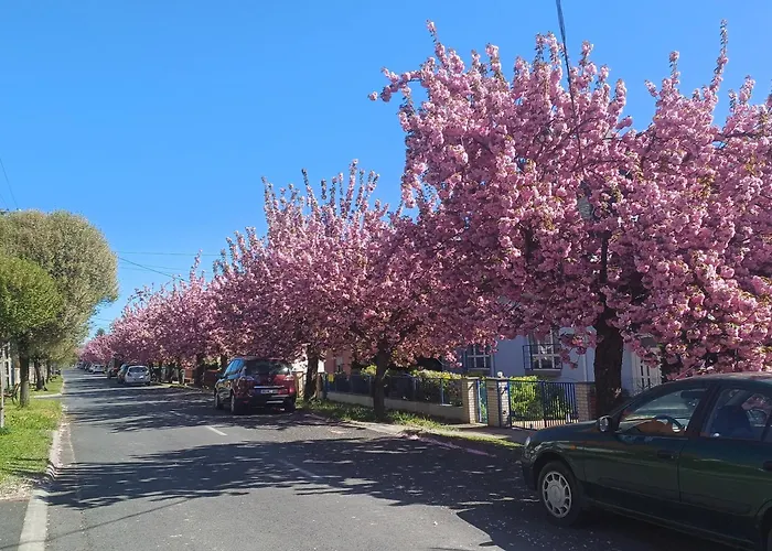 6rooms Balaton-heviz 아파트 *